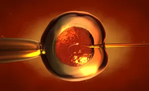 Fecondazione in vitro - vediamocichiara