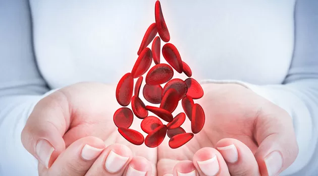 Giornata mondiale dei donatori di sangue - VediamociChiara