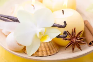 Essenza di vaniglia in aromaterapia - VediamociChiara