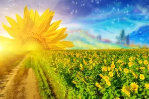 Come assecondare il cambiamento