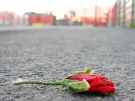 Amore violento non è Amore - - - - VediamociChiara - - - -