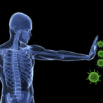Come funziona il sistema immunitario