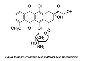 Doxorubicina antibiotic