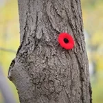 Giornata del ricordo